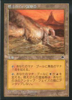 燃えがらの湿地帯