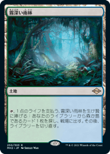 霧深い雨林.png